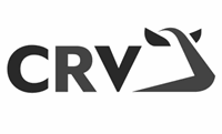 crv.png